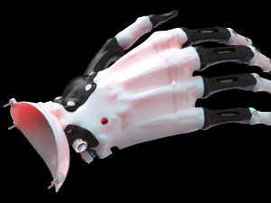 hand prosthesis the current anatomical model Model Cetak 3D