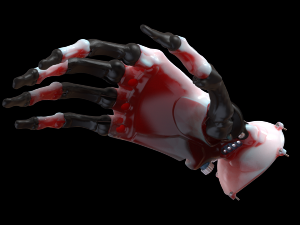 hand prosthesis the current anatomical model Model Cetak 3D