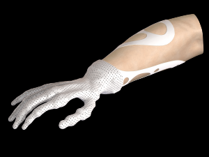 hand prosthesis the current anatomical model Model Cetak 3D