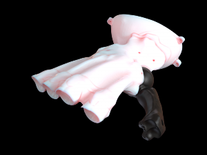 hand prosthesis the current anatomical model Model Cetak 3D