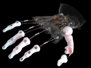 hand prosthesis the current anatomical model Model Cetak 3D