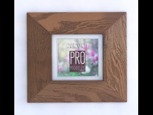 frame 3D Model