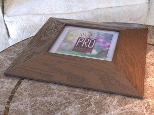 frame 3D मॉडल