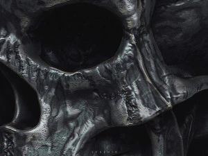 rei esqueleto Modelo 3D