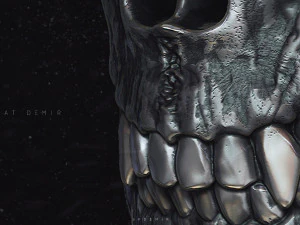 rei esqueleto Modelo 3D