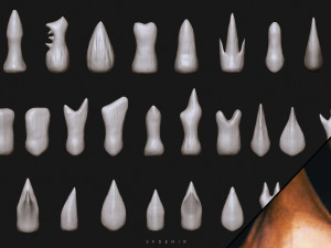 sfemir teeth imm brushes Model 3D