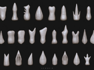 sfemir teeth imm brushes Model 3D