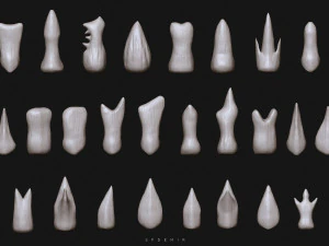 sfemir teeth imm brushes 3D Model
