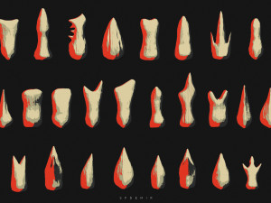 sfemir teeth imm brushes Model 3D