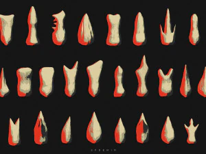 sfemir teeth imm brushes 3D Model