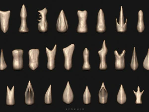 sfemir teeth imm brushes 3D Model