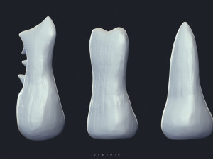 sfemir teeth imm brushes Model 3D