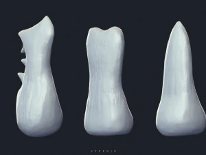 sfemir teeth imm brushes 3D Model
