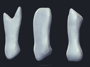 sfemir teeth imm brushes Model 3D