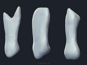 sfemir teeth imm brushes 3D Model