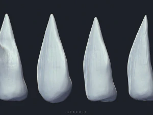 sfemir teeth imm brushes 3D Model