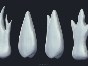 sfemir teeth imm brushes Model 3D