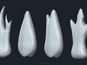 sfemir teeth imm brushes 3D Model