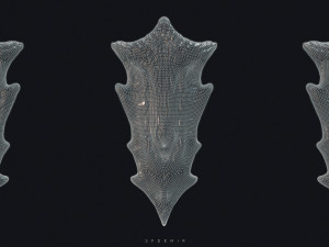 dragonborn shield 3Dモデル