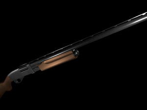 two shotguns 3D Model