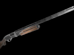 two shotguns 3D Model