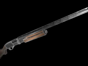 two shotguns 3D Model