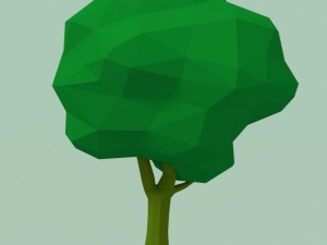 types of trees 3Dモデル