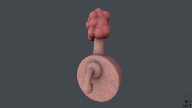 plumbus Modelo 3D .c4d .max .obj .3ds .fbx .stl .blend 