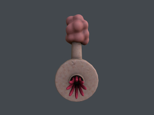 plumbus Modelo 3D