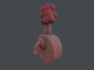 plumbus Modelo 3D