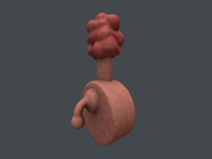 plumbus Modelo 3D