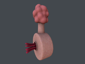 plumbus Modelo 3D