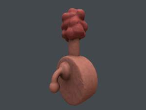 plumbus Modelo 3D