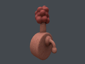 plumbus Modelo 3D
