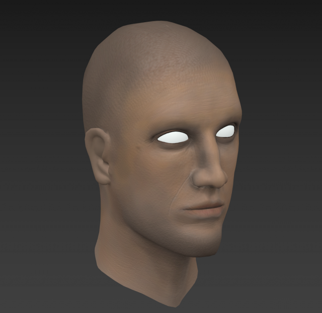 head male 3D Модель .c4d .max .obj .3ds .fbx .stl .blend 