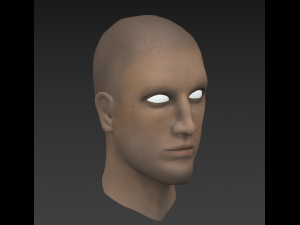 head male 3D Model