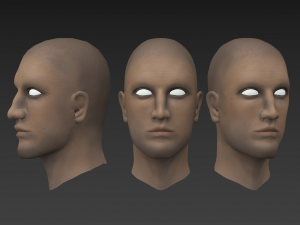 head male 3D Модель