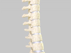 column 3D Model