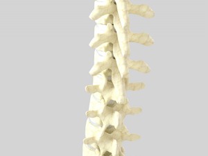column 3D Modell