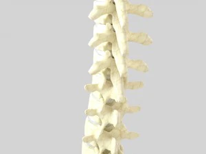 column 3D Model