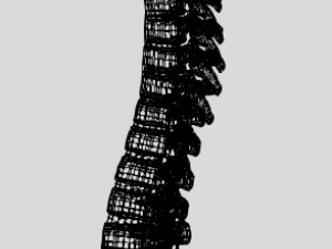 column 3D Modell