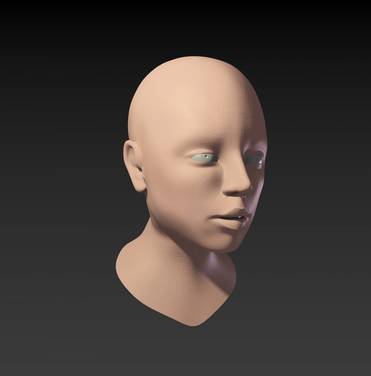 womans face 3D Model .c4d .max .obj .3ds .fbx .stl .blend 