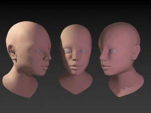 womans face 3D Model