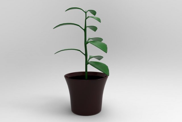 flowerpot Model 3D .c4d .max .obj .3ds .fbx .stl .blend 