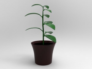 flowerpot Modelo 3D