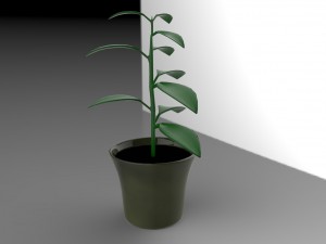 flowerpot Model 3D