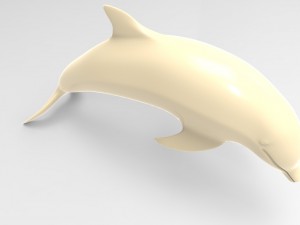 dolphin 3D Model