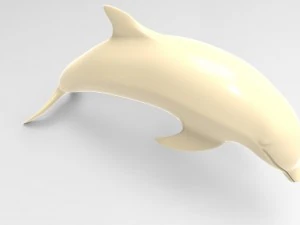 dolphin 3D Model