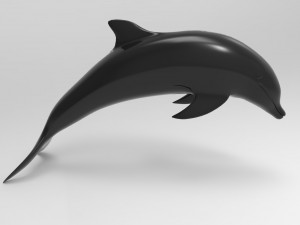 dolphin 3D Model