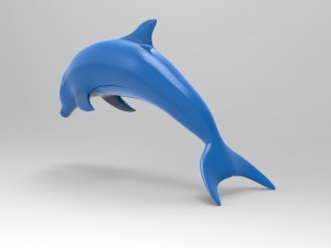 dolphin 3D Model